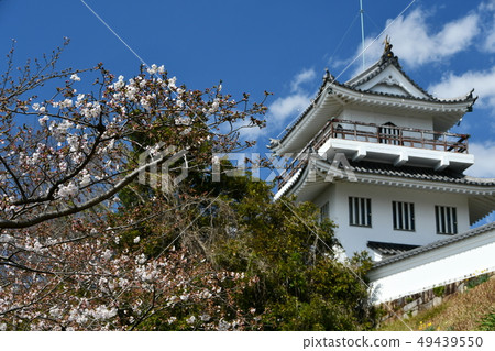 Owari大野城堡在春天 49439550