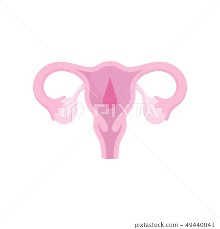 Female flat reproductive organs on white background. Female flat reproductive organs on white background. 49440041