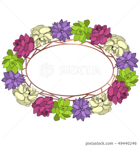 Vector Succulents floral botanical flower. Engraved ink art on white background. Frame border Vector Succulents floral botanical flower. Engraved ink art on white background. Frame border 49440246