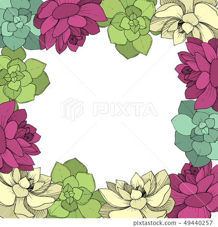 Vector Succulents floral botanical flower. Engraved ink art on white background. Frame border Vector Succulents floral botanical flower. Engraved ink art on white background. Frame border 49440257