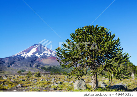 Chile landscape 49440353