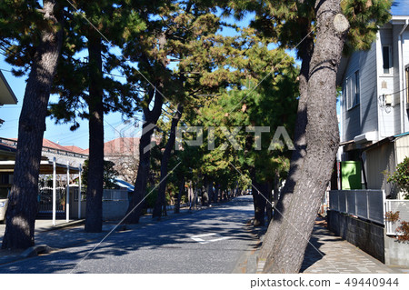 Tsurushima Hachimangu Shrine approach Tsurushima Hachimangu Shrine approach 49440944