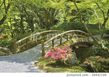 Dobashi Sendong Gosho Garden 49442199