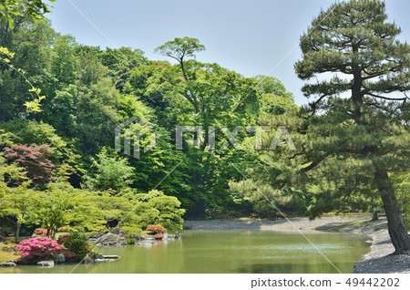 森洞故宮花園 森洞故宮花園 49442202