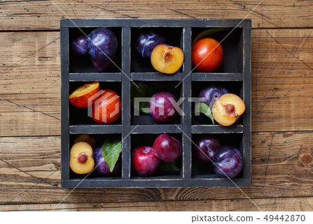 Fresh plums with leaves 49442870