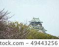 櫻花和大阪城 49443256