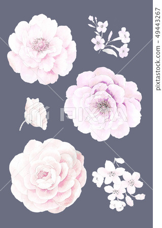 Beautiful watercolor floral and invitation card design 49443267