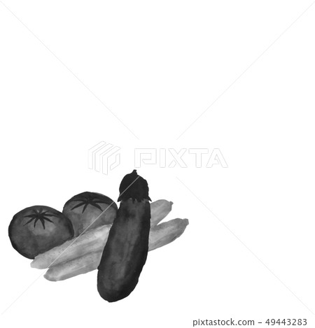 茄子,黃瓜,番茄,水墨,插圖,灰色,手寫 茄子,黃瓜,番茄,水墨,插圖,灰色,手寫 49443283