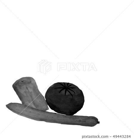 黃瓜,胡椒,番茄,水墨,插圖,灰色,手寫 黃瓜,胡椒,番茄,水墨,插圖,灰色,手寫 49443284