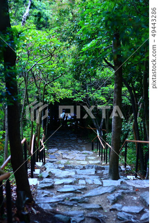 一條路 一條路 49443286