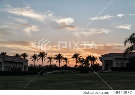 Landscape with palm trees, sunset, silhouette. Landscape with palm trees, sunset, silhouette. 49443977