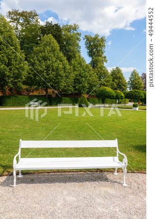 White wooden bench in garden in sunny sammer day 49444552
