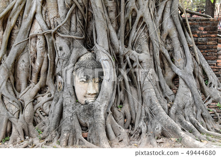 Ayutthaya Wat Pramahat Ayutthaya Wat Pramahat 49444680