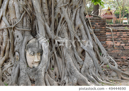 Ayutthaya Wat Pramahat 49444690