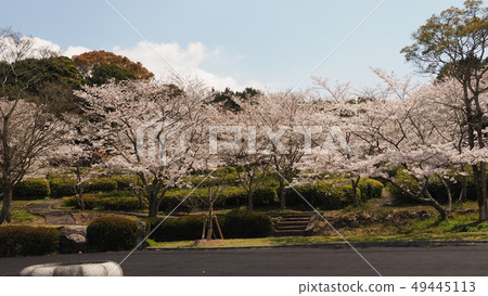 Takeno Kiba Park (Omura City, Nagasaki Prefecture) Takeno Kiba Park (Omura City, Nagasaki Prefecture) 49445113