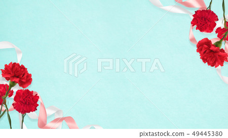 Background-Carnation-Mother's Day-Blue Background-Carnation-Mother's Day-Blue 49445380