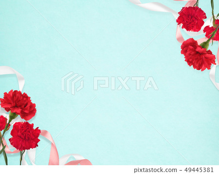 Background-Carnation-Mother's Day-Blue Background-Carnation-Mother's Day-Blue 49445381