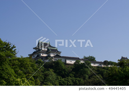 和歌山城堡城堡的看法 和歌山城堡城堡的看法 49445405