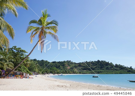 The beach The beach 49445846