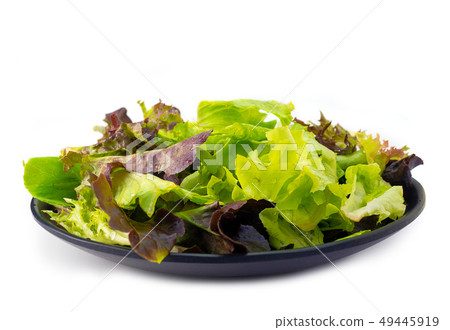 Fresh vegetable salad , healthy food. Fresh vegetable salad , healthy food. 49445919