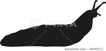 Slug silhouette 49449511