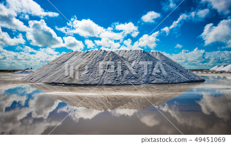Natural sea salt producing in Las Coloradas 49451069