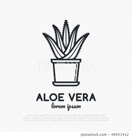 Succulent Aloe vera in pot. Thin line icon. - Stock Illustration [49451412]  - PIXTA