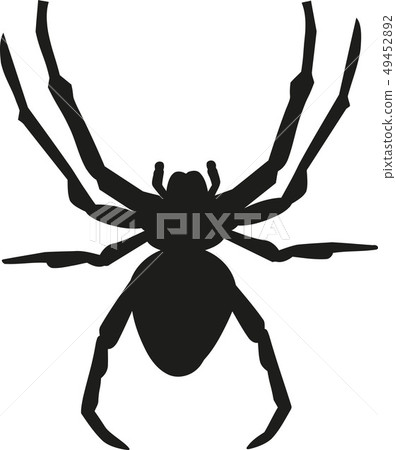 Spider silhouette with details Spider silhouette with details 49452892