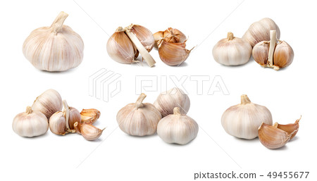 Garlic on white background 49455677