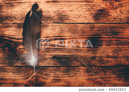 Hawk feather over wooden table 49455852