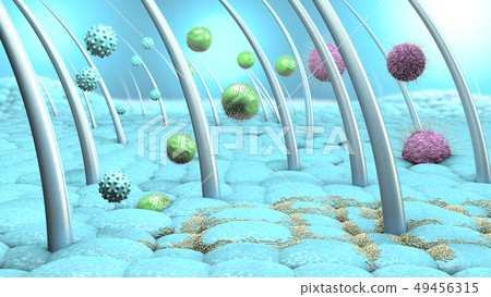 Viruses and bacteria entering the skin 49456315