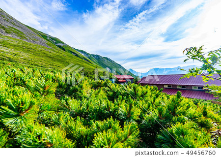 長崎山的山風景[長野縣] 49456760