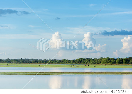 lake with cloudy blue sky background with copy lake with cloudy blue sky background with copy 49457281
