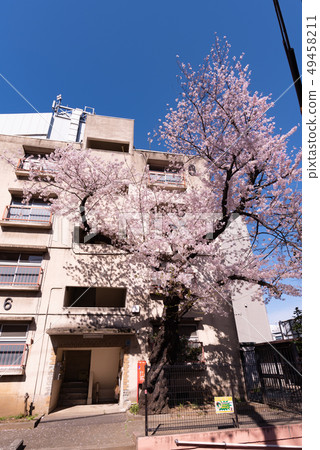 Showa house 49458211