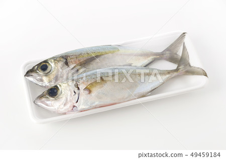 馬鮫魚,toppak,gachu(包裝) 馬鮫魚,toppak,gachu(包裝) 49459184