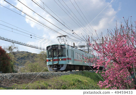 Spring scenery Spring scenery 49459433