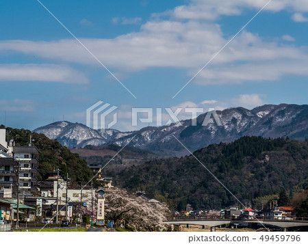 櫻花盛開的三朝溫泉 49459796