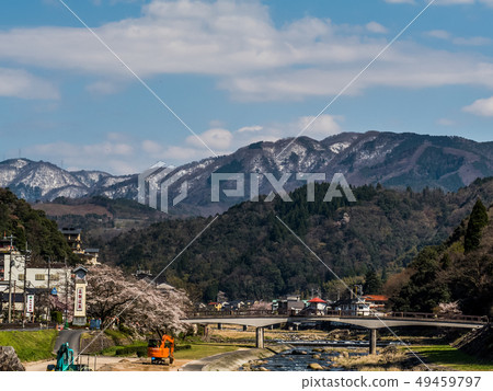 櫻花盛開的三朝溫泉 49459797