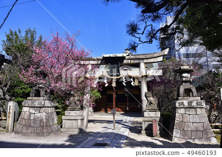 Kan's Shrine Ume 49460193