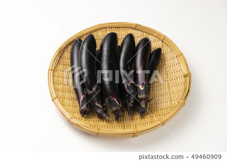 Eggplant self-cultivation Eggplant self-cultivation 49460909