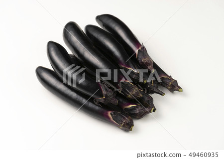 茄子修身 49460935
