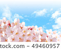 Sakura 04 49460957