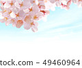 Sakura 02 49460964