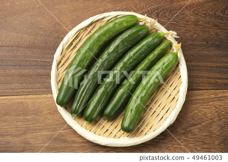 Cucumber self-cultivation 49461003