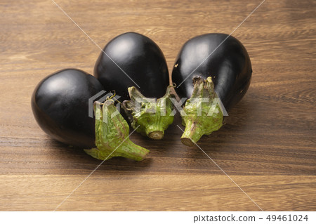 Rice eggplant self-cultivation Rice eggplant self-cultivation 49461024