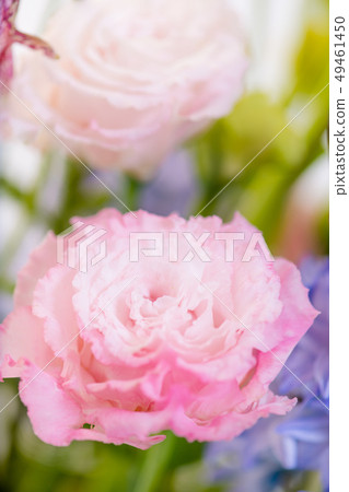 被切開的花的桃紅色綠松石花，土耳其風鈴草，桃紅色康乃馨，禮物，母親節，花束 49461450