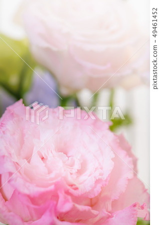 被切開的花的桃紅色綠松石花，土耳其風鈴草，桃紅色康乃馨，禮物，母親節，花束 49461452