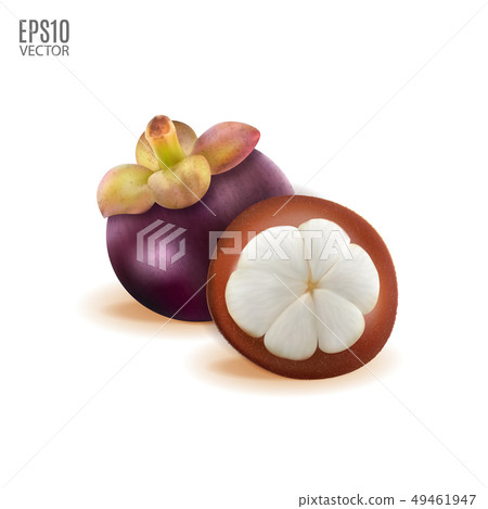 Tropical mangosteen isolated on white background. Whole and cut half piece for package design 49461947