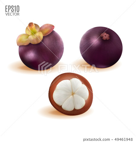 Vector ripe mangosteen set isolated on white background closeup. Realistic vector, 3d illustration Vector ripe mangosteen set isolated on white background closeup. Realistic vector, 3d illustration 49461948