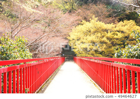 Toyoura橋 Toyoura橋 49464627